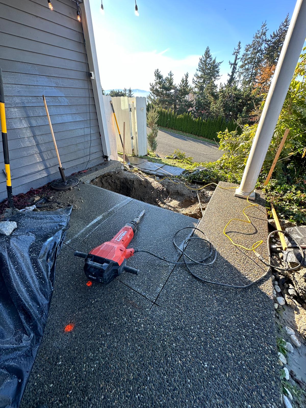Image for Ready Rooter with ID of: 5998924