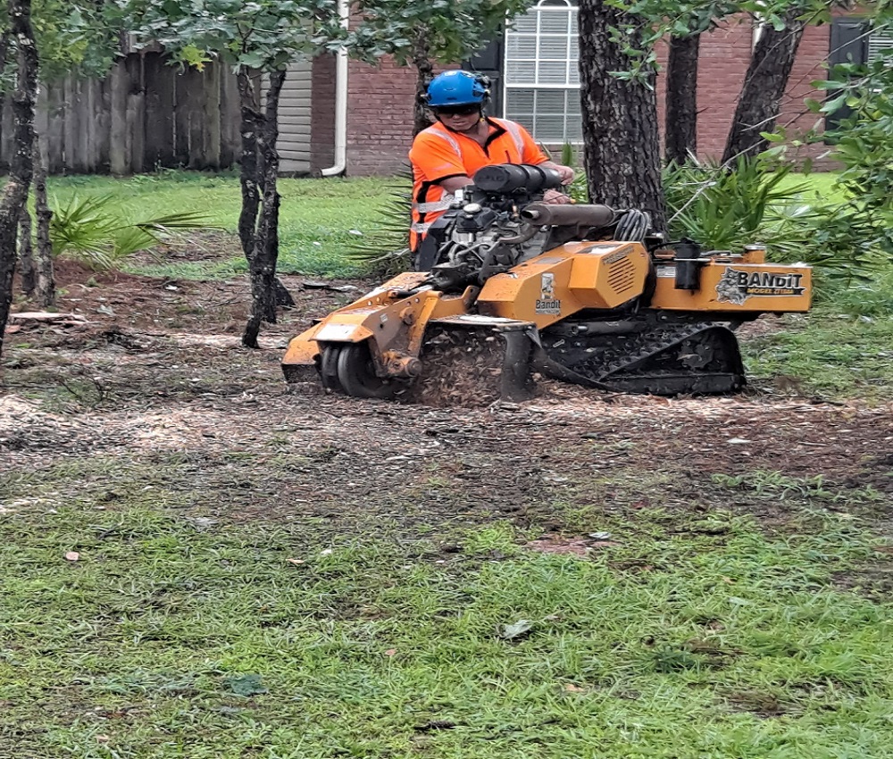 Image for Pearce Tree & Stump Service with ID of: 6000587
