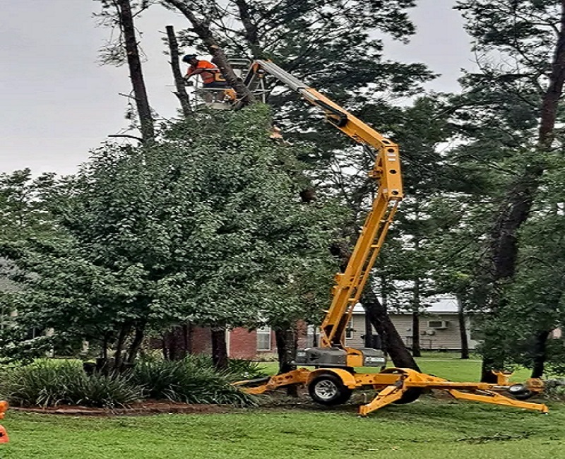 Image for Pearce Tree & Stump Service with ID of: 6000590