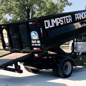 Image for Dumpster Panda with ID of: 6006081