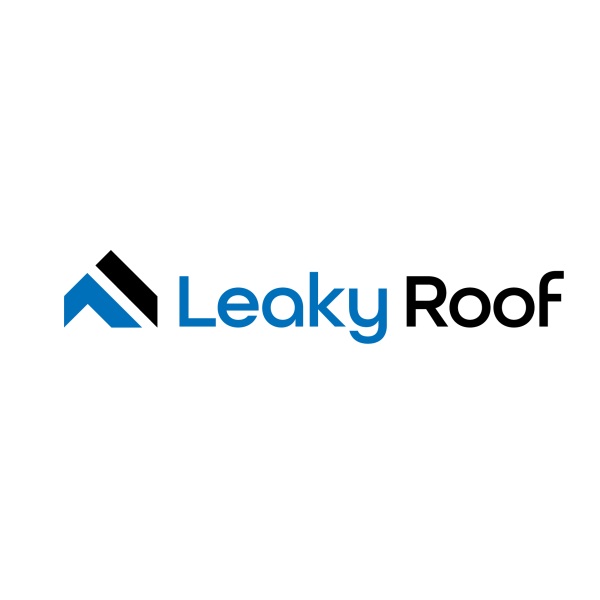 Image for Leaky Roof with ID of: 6601411