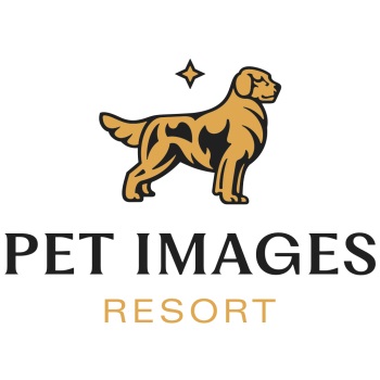 Image for Pet Images Resort with ID of: 6605876