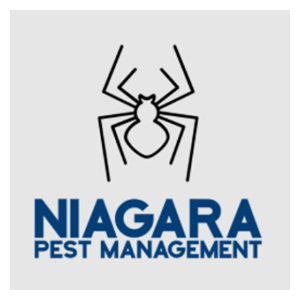 Image for Niagara Pest Management with ID of: 6606305
