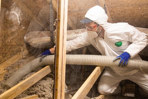 Image for Koala Insulation of Boulder with ID of: 6011920