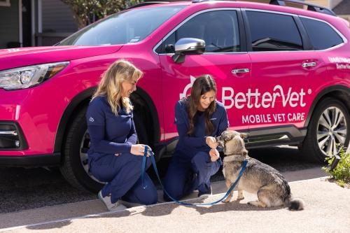 Image for BetterVet Denver, Mobile Vet Services with ID of: 6014345