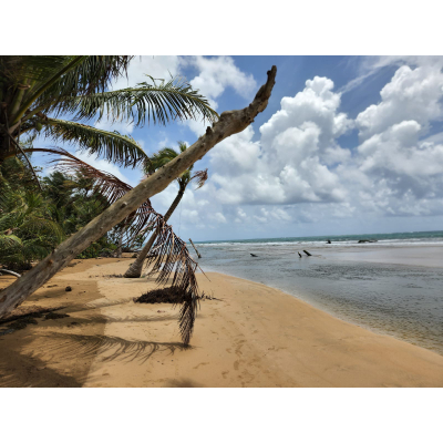 Image for Caribbean Breeze Adventures with ID of: 6020312