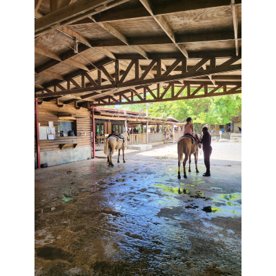 Image for Caribbean Breeze Adventures with ID of: 6020313