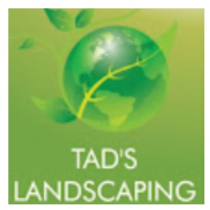 Image for Tad's Landscaping with ID of: 6616179