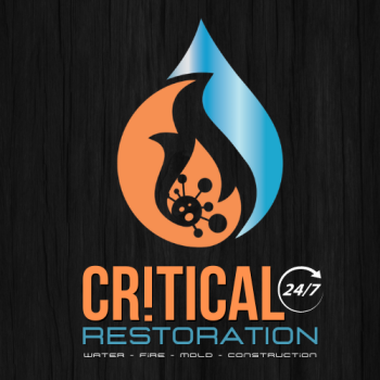 Image for Critical Restoration with ID of: 6616513