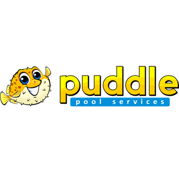 Image for Puddle Pool Services with ID of: 6617913
