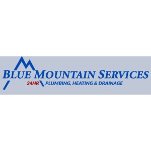 Image for Blue Mountain Services Ltd. with ID of: 6618319