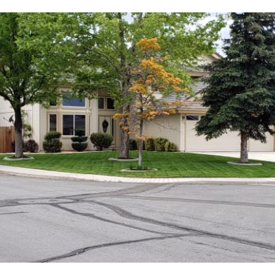 Image for Tailored Lawn Care, LLC with ID of: 6026089