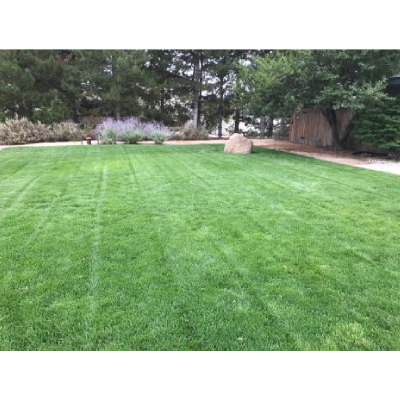 Image for Tailored Lawn Care, LLC with ID of: 6026104