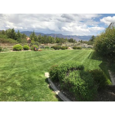 Image for Tailored Lawn Care, LLC with ID of: 6026108