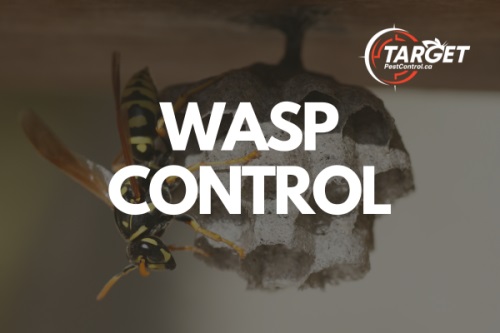 Image for Target Pest Control with ID of: 6026202