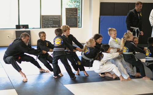 Image for Jiu Jitsu Performance Academy with ID of: 6028397