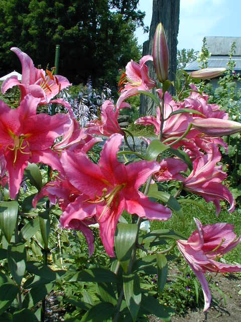 Image for Wyndbourne, LLC with ID of: 662