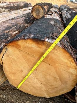 Image for Levi's Sawmill with ID of: 6030259