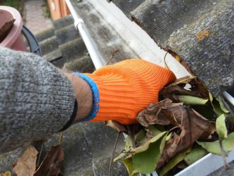 Image for Clean My Dirty Gutters with ID of: 6031400