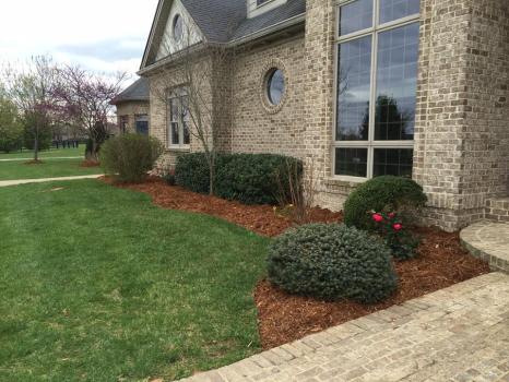 Image for McDonald's Lawn & Landscaping with ID of: 6032774