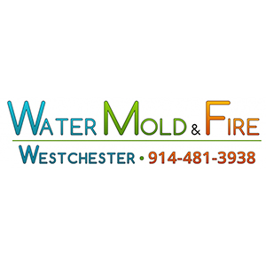 Image for Water Mold & Fire Westchester with ID of: 662521