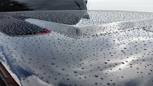 Image for Pure Precision Custom Detailing with ID of: 6033263