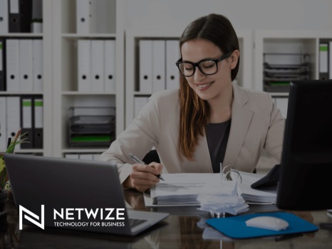 Image for NetWize with ID of: 6033274