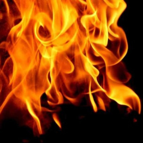 Image for Water Mold & Fire Seattle with ID of: 662790