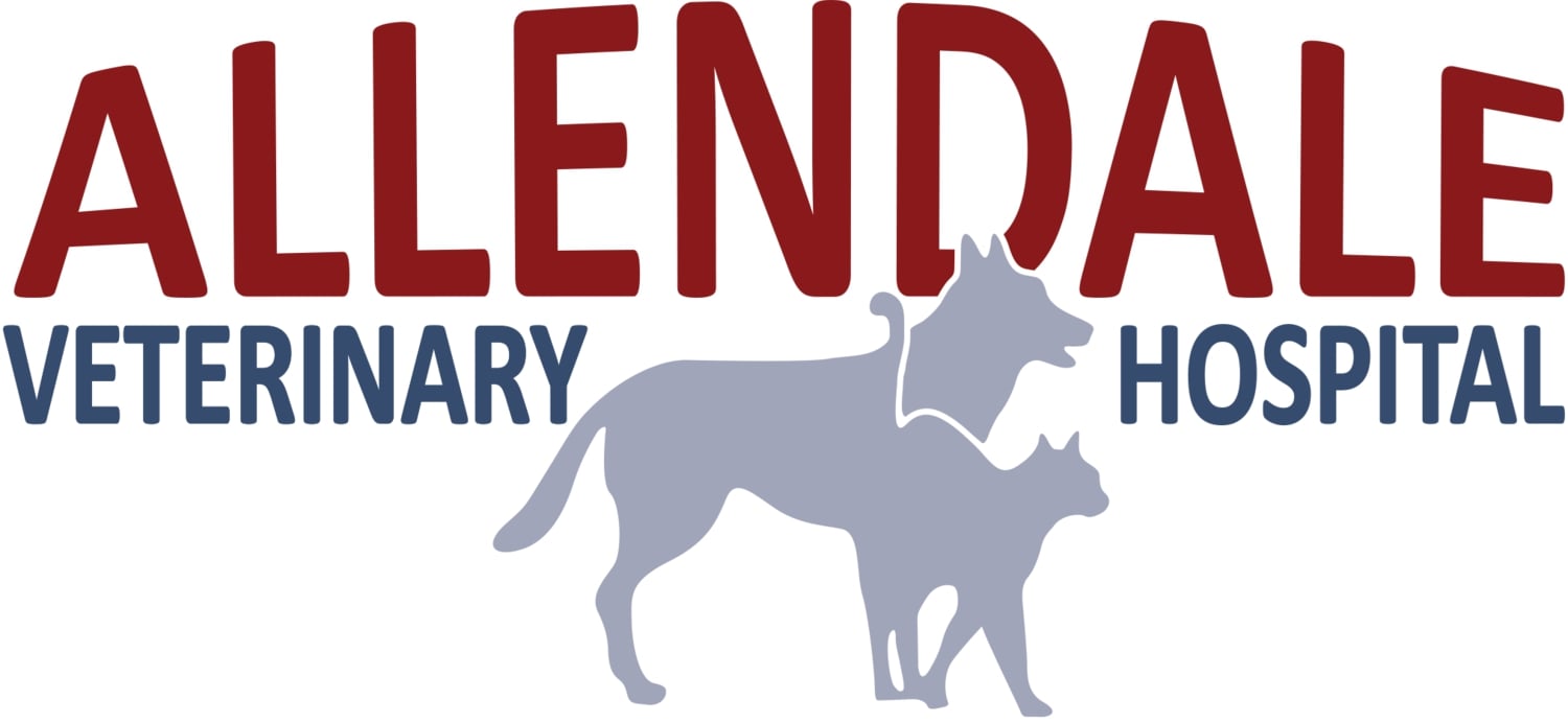 Image for Allendale Veterinary Hospital with ID of: 6628318
