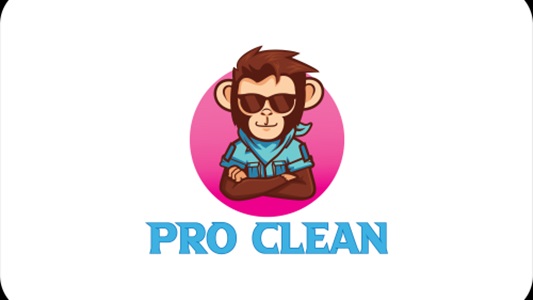 Image for Pro Clean with ID of: 6036101