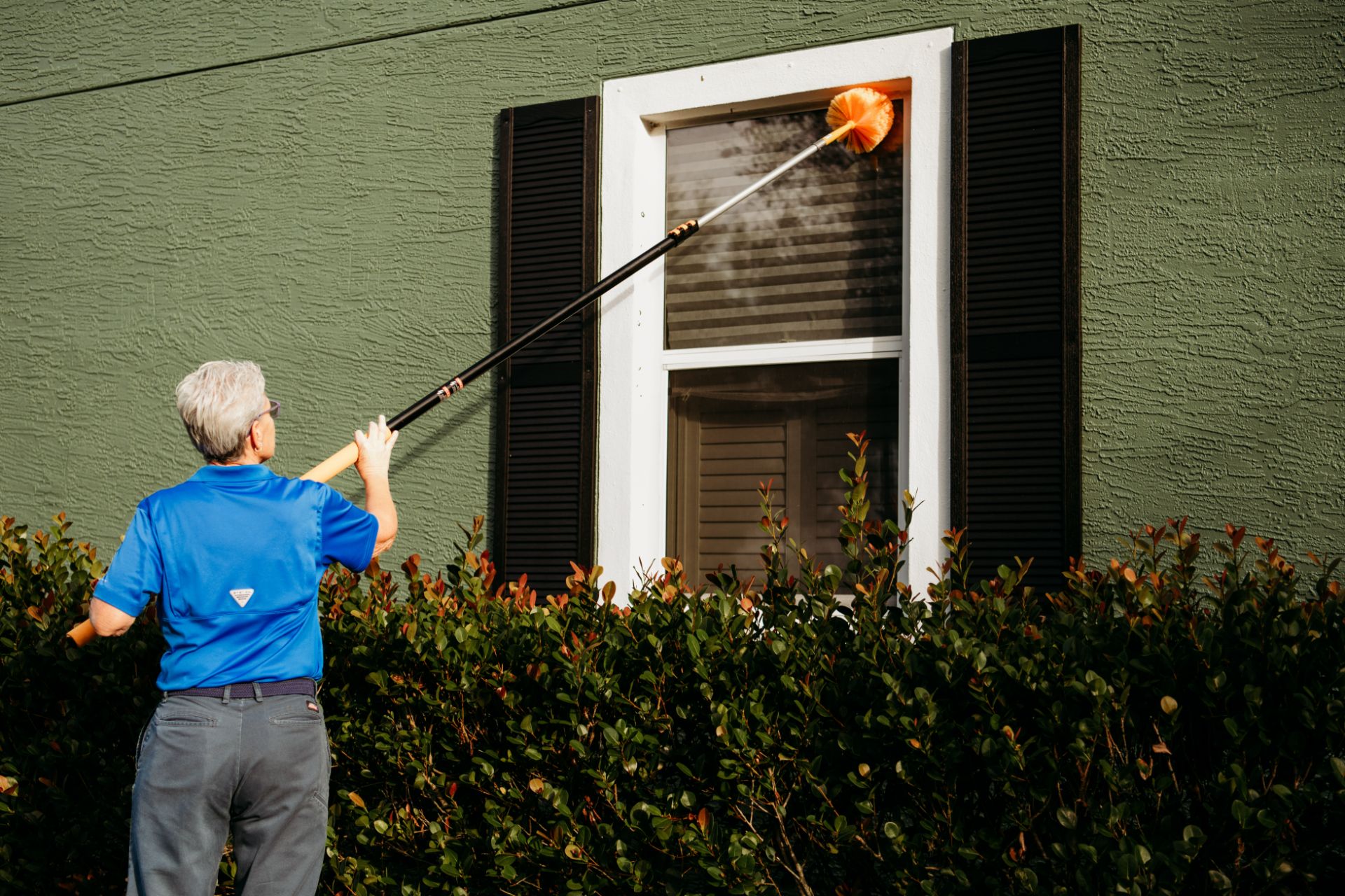 Image for Choice Pest Management with ID of: 6036973