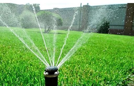 Image for Surrey Landscapers Ltd with ID of: 6038245