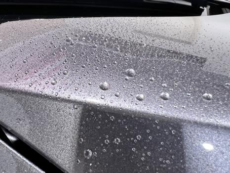 Image for OC Paint Protection with ID of: 6038661