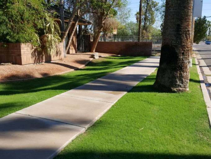Image for Quality Care Landscape Management with ID of: 4423602