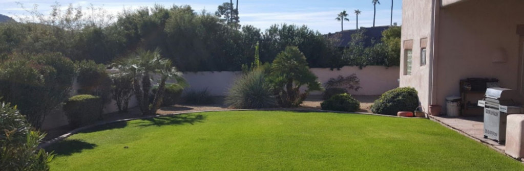 Image for Quality Care Landscape Management with ID of: 4423603