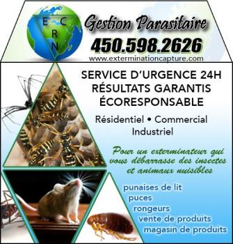 Image for ECRN Extermination with ID of: 6039859