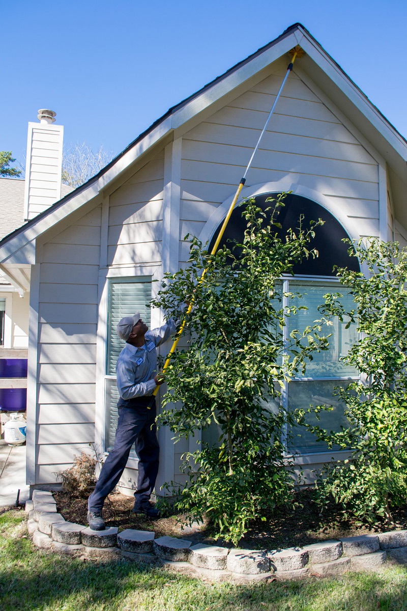 Image for Reliant Pest Management Austin with ID of: 6041999