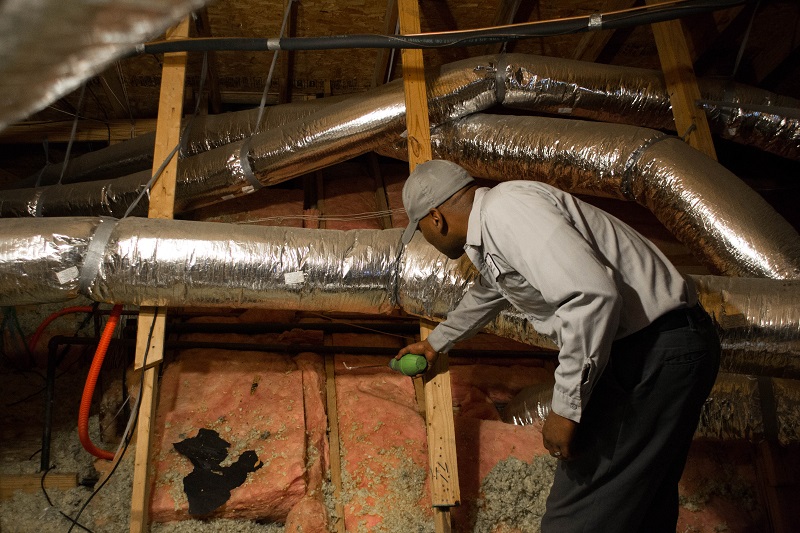 Image for Reliant Pest Management Austin with ID of: 6042000