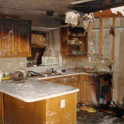 Image for Water Mold & Fire St. Louis with ID of: 663035