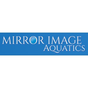 Image for Mirror Image Aquatics with ID of: 6630893