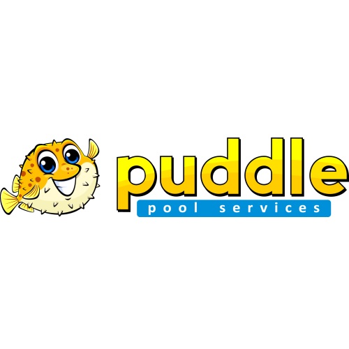 Image for Puddle Pool Services with ID of: 6630988