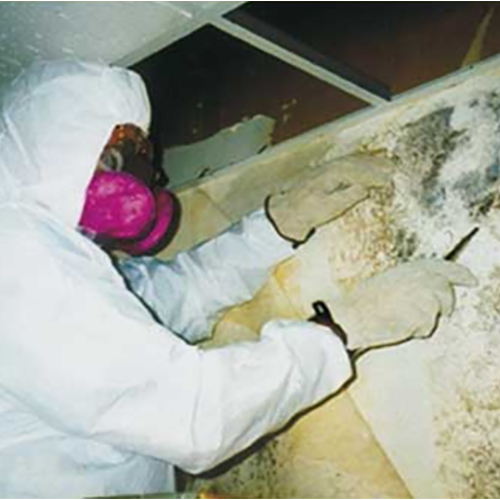 Image for Water Mold & Fire Cincinnati with ID of: 663353