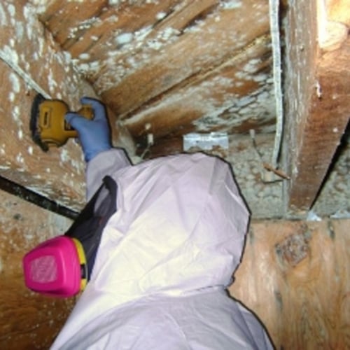 Image for Water Mold & Fire Cincinnati with ID of: 663354