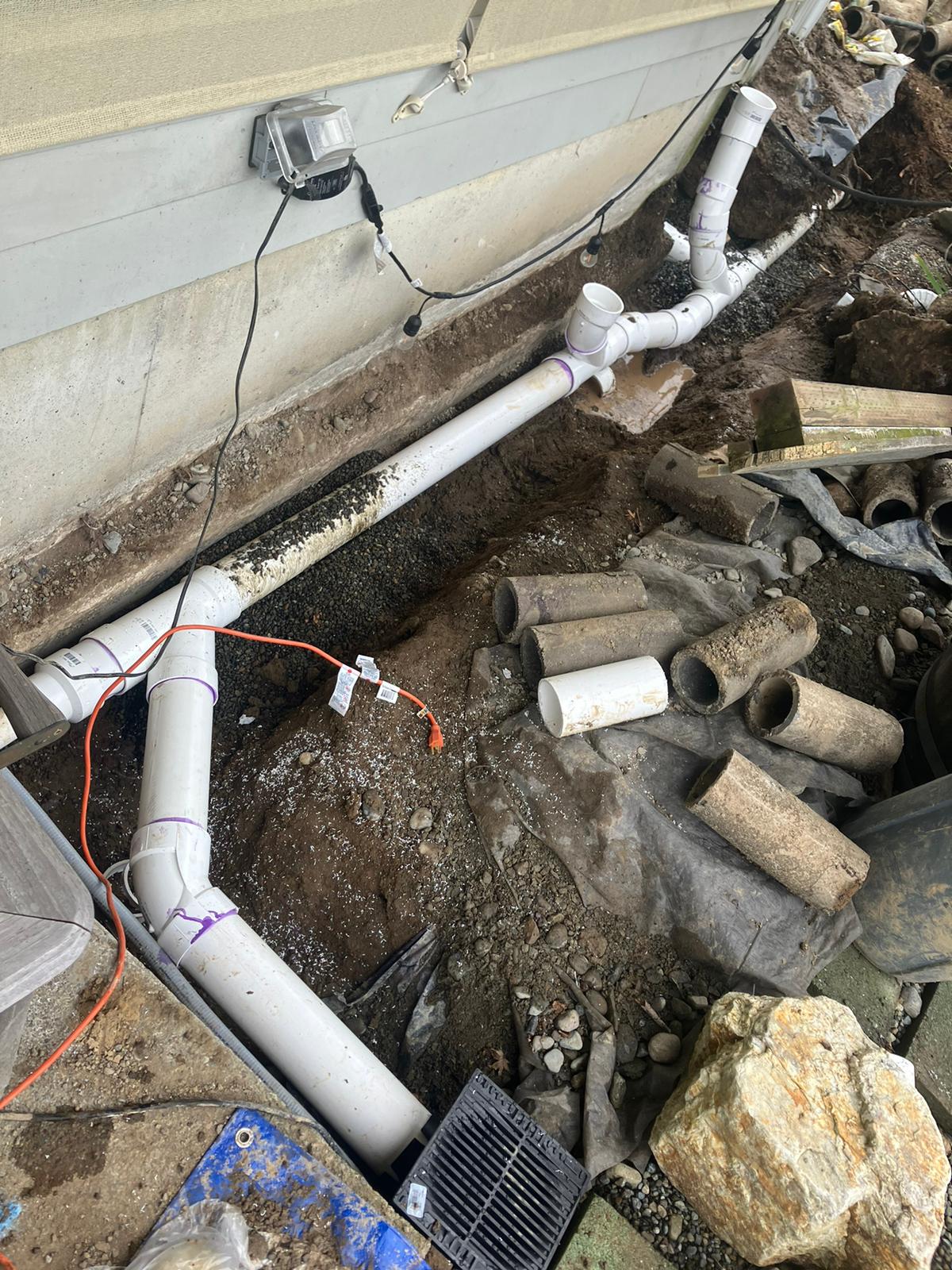 Image for Ready Rooter with ID of: 6048489