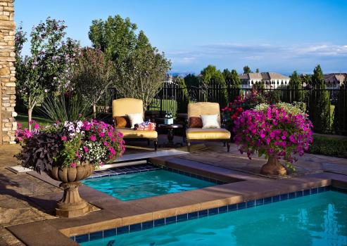 Image for Terra Bella with ID of: 6048721