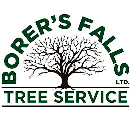 Image for Borer's Falls Tree Service with ID of: 6636319