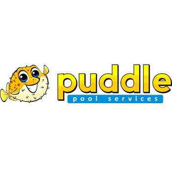 Image for Puddle Pool Services with ID of: 6638283
