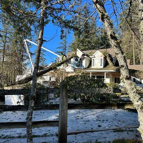 Image for Legacy Tree Service with ID of: 6051849