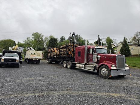 Image for At Your Service Tree Company LLC with ID of: 6052451