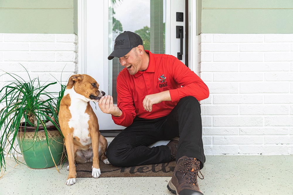 Image for All U Need Pest Control Melbourne with ID of: 6052605